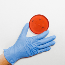 
Lien vers: https://plastipedia.org/?PolluantS