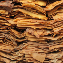 
Lien vers: LesElastomeresCaoutchoucs